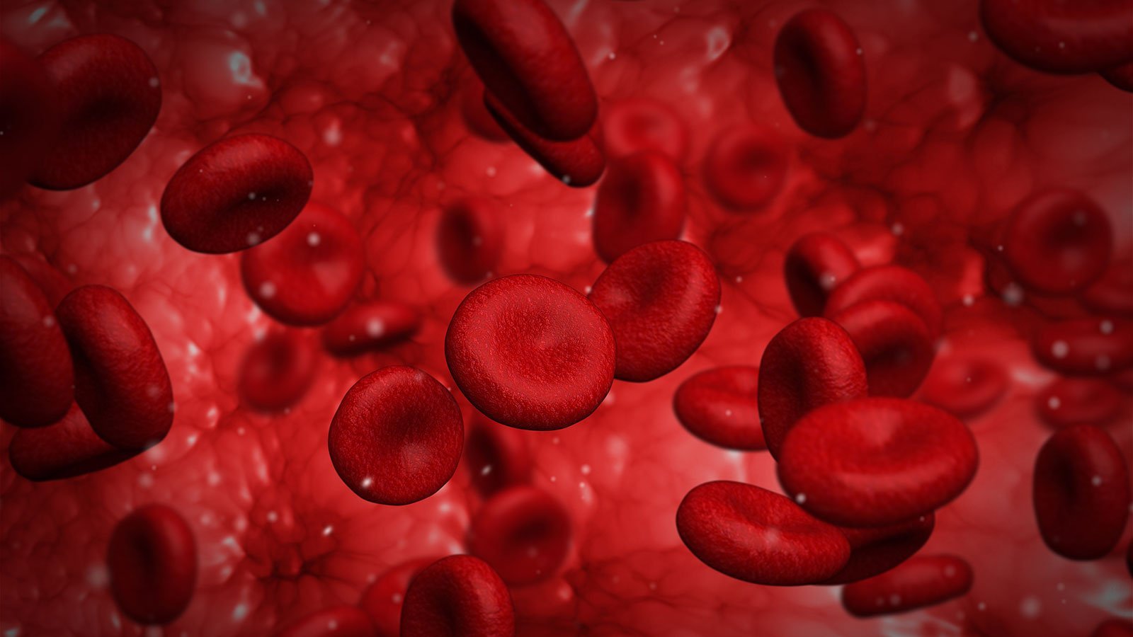 Forskere har nu fundet ud af, hvilken blødersygdom Dronning Victoria led af. Computergenereret grafik af røde blodlegemer i et blodkar. Foto: Colourbox.