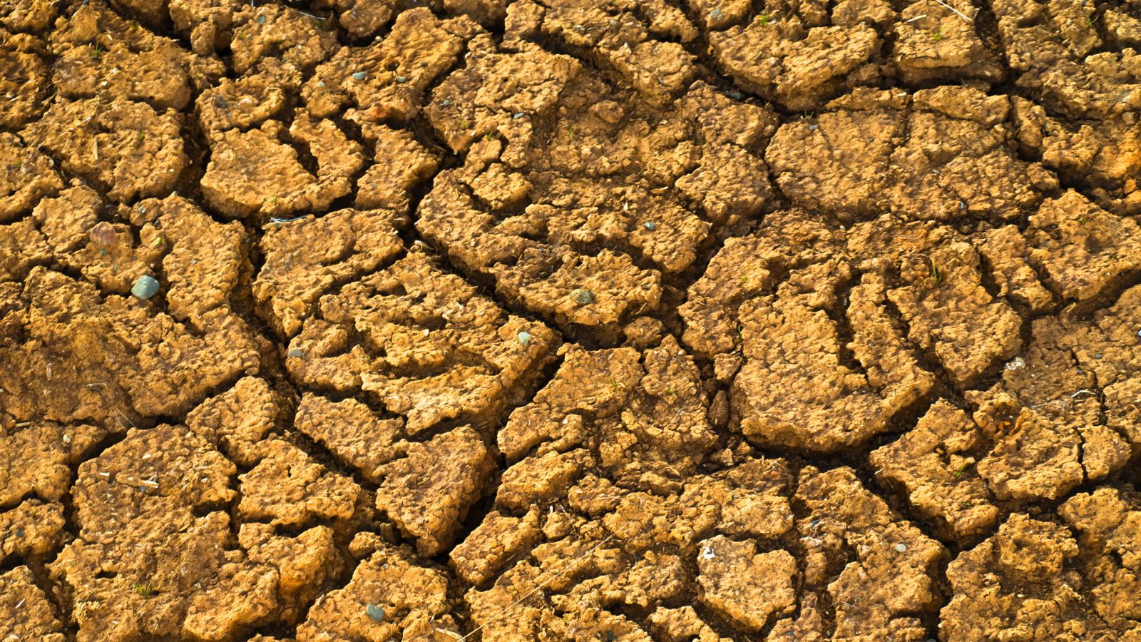 Tørke - Konsekvenser af klimaforandringerne