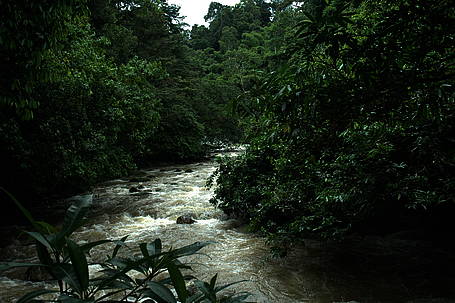 Flod i en tropisk klimazone.
