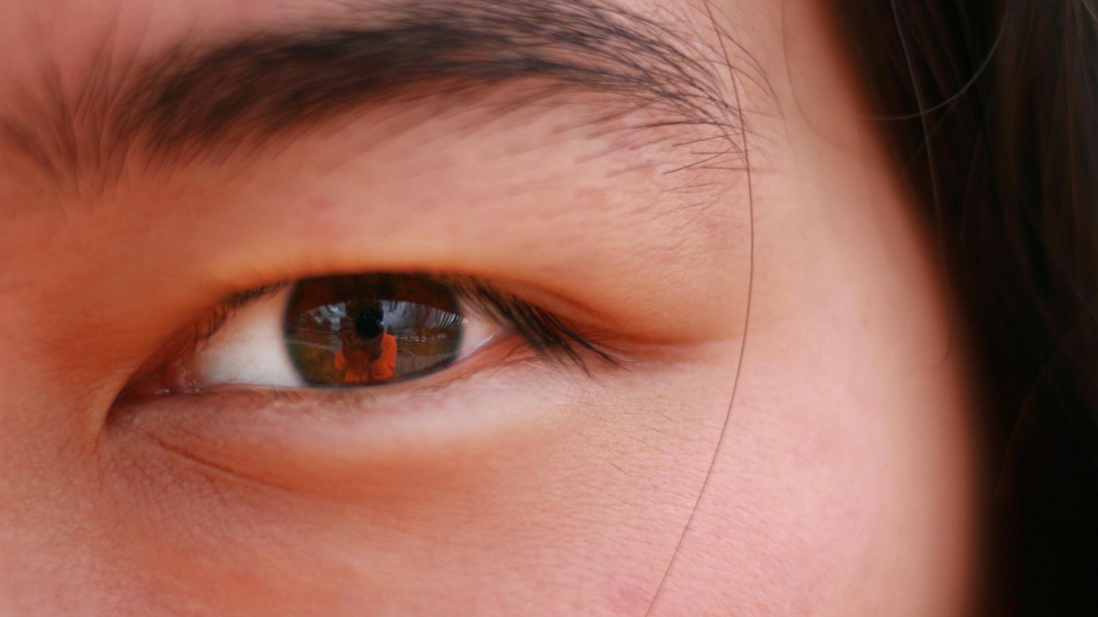 7 facts om synssansen