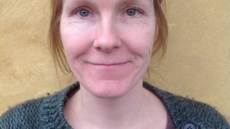 GMO er i sig selv problematisk
