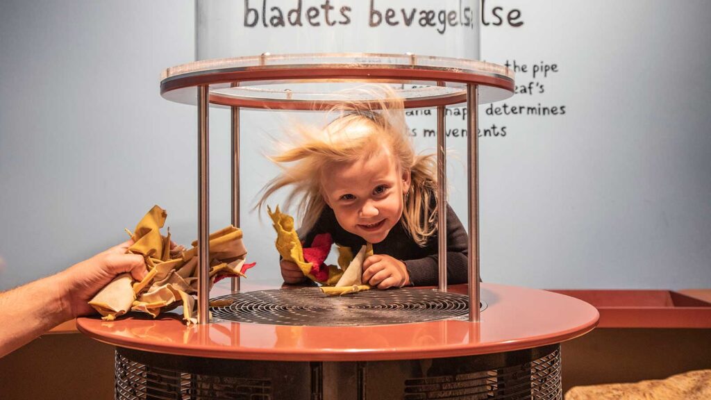 Leg med bladene i Miniverset på Experimentarium.